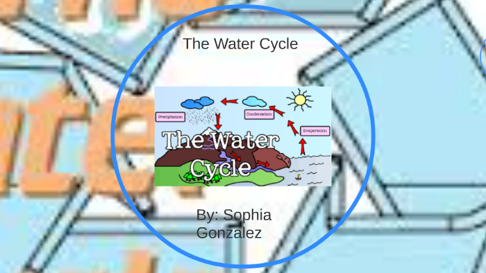 The Water Cycle by Sophia Gonzalez on Prezi