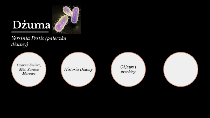 Dżuma by mia duszynska on Prezi