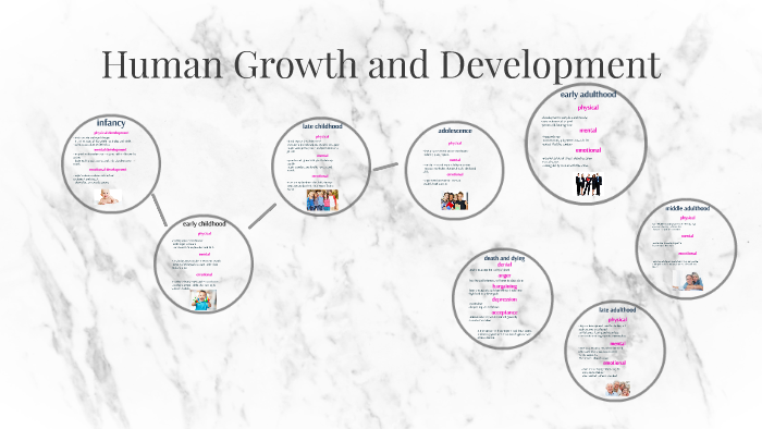 human growth and development chart