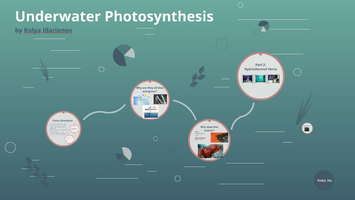 underwater-photosynthesis-by-kolya-illarionov