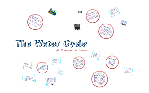 APES Water Cycle by Bethany McDaniel