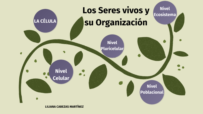 LOS SERES VIVOS Y SUS ORGANIZACIÓN by Liliana Cabezas Martínez on Prezi