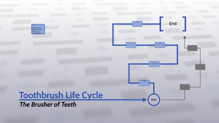 Toothbrush Life Cycle By Joshua Dickinson