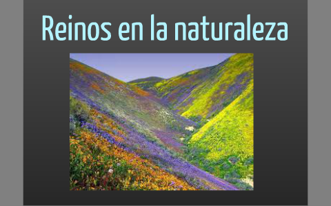 Reinos de la naturaleza by Karinna Acevedo Bórquez on Prezi