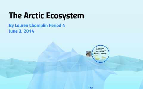 The Arctic Ecosystem by Lauren Champlin on Prezi