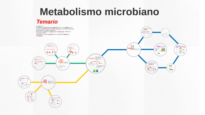 Unidad II: Metabolismo microbiano by on Prezi