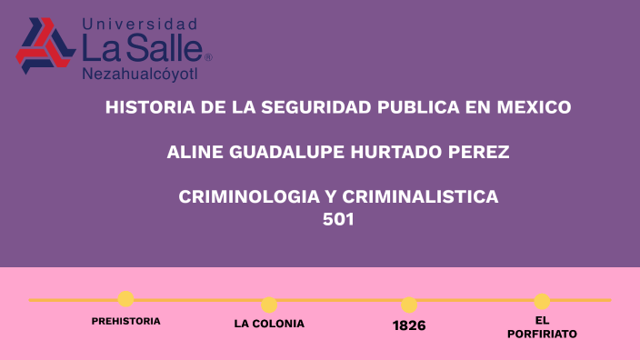 SEGURIDAD PUBLICA by aline hurtado on Prezi