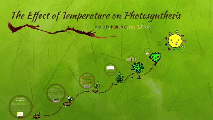 the-effect-of-temperature-on-photosynthesis-by-fariha-momin