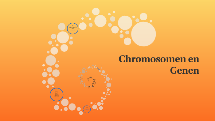 Chromosomen en Genen by Vera Franssen