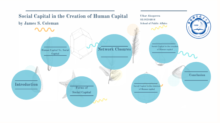 Social Capital in the Creation of Human Capital: American Journal