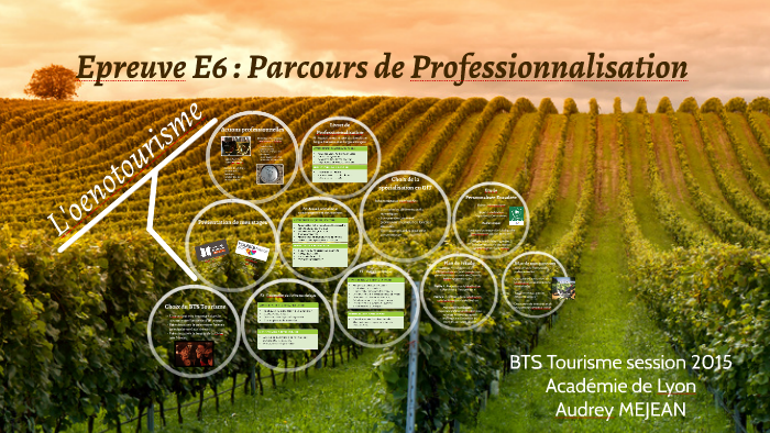 Epreuve E6 Parcours De Professionnalisation Page De Garde