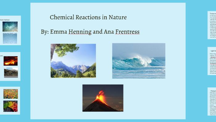 chemical-reactions-in-nature-by-ana-frentress