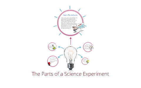 experiment parts of science