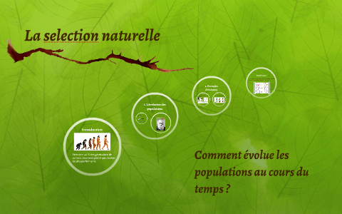La selection naturelle by pauline avy on Prezi