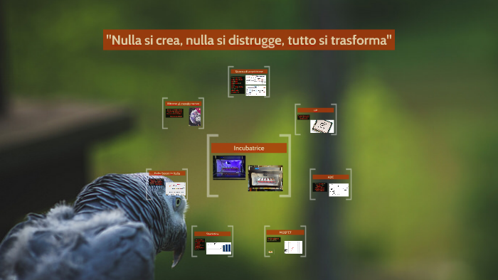 Maturità: Nulla si crea, nulla si distrugge, tutto si trasforma by