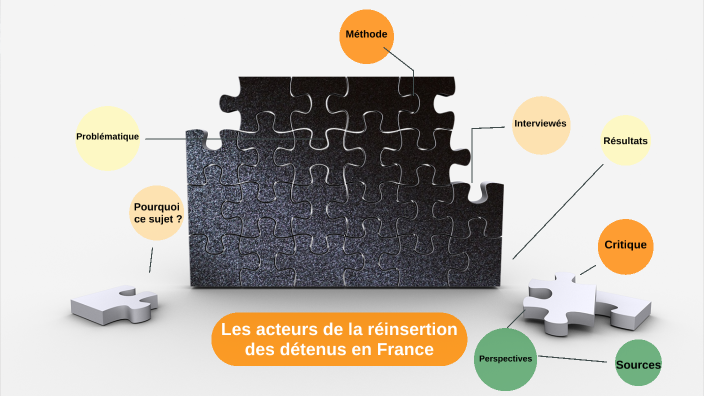 Les Acteurs De La Réinsertion Des Détenus En France By Lisa Jouenne On Prezi 