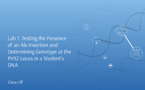 Lab 1: Testing the Presence of an Alu Insertion and Determin by Clara ...