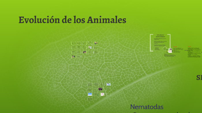 EVOLUCION DE LOS ANIMALES by Nerina Aranda on Prezi