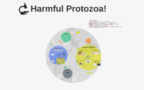 Harmful Protozoa By Anwar A