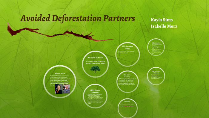 avoided-deforestation-partners-by-isabelle-merz-on-prezi