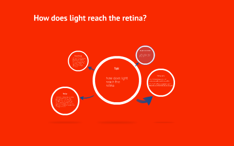 How does light reach the retina? by Alex Bloomfield on Prezi