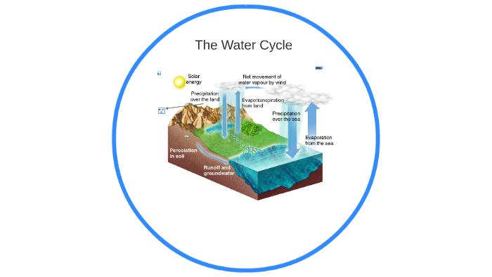 The Water Cycle by isai morales on Prezi