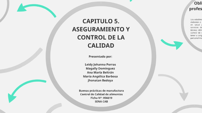 Capítulo 5 - Aseguramiento y control de la calidad by Jhonatan Bedoya ...