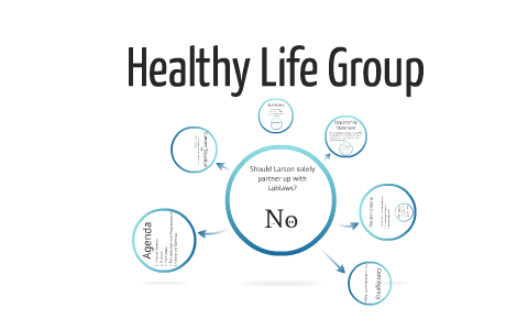 healthy life group case study balance sheet