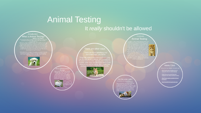 What is Animl Testing by Bobo Au-Yeung on Prezi