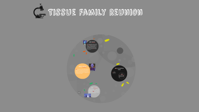 tissue family reunion essay example