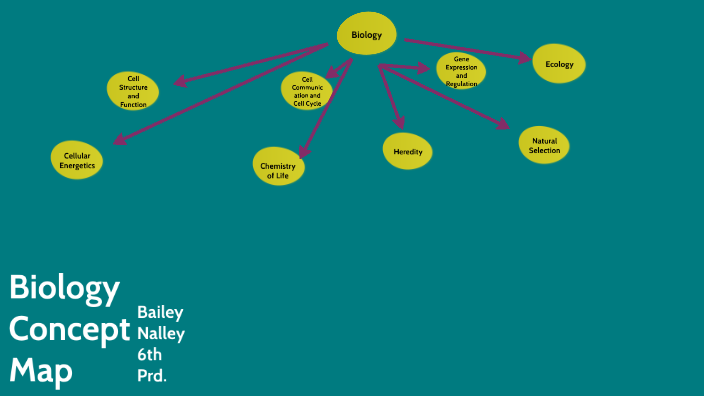 Biology Concept Map 0711