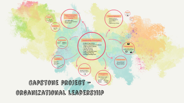 leader capstone project