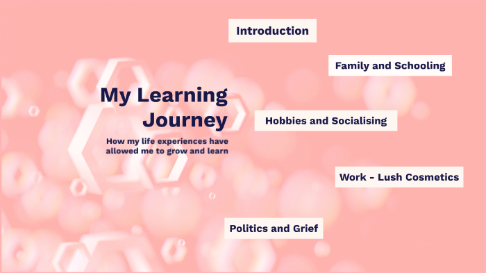 My Learning Journey by Fiona O'Reilly on Prezi