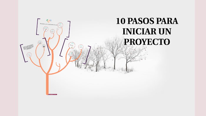10 PASOS PARA INICIAR UN PROYECTO by haydee mercedes tupia rivera on Prezi