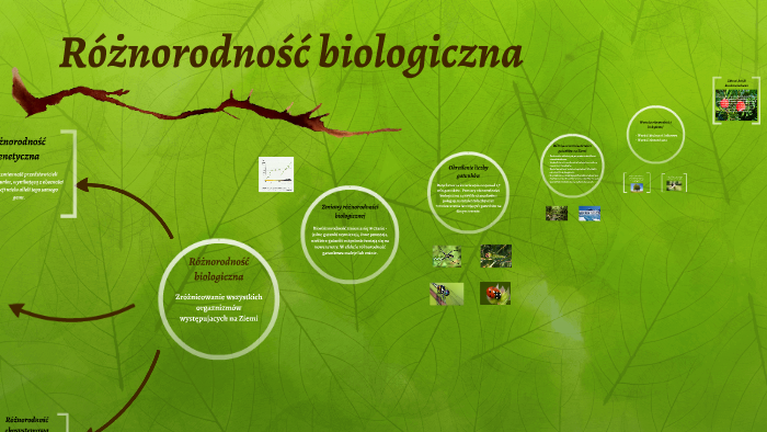 Różnorodność biologiczna by Sylwia Małkiewicz on Prezi