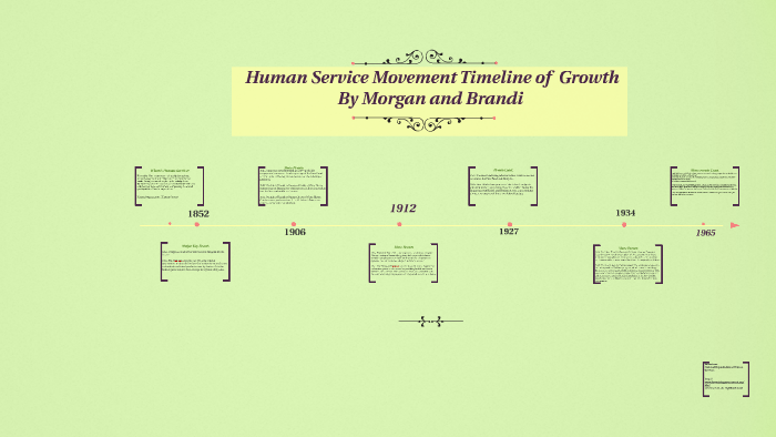 human services history essay