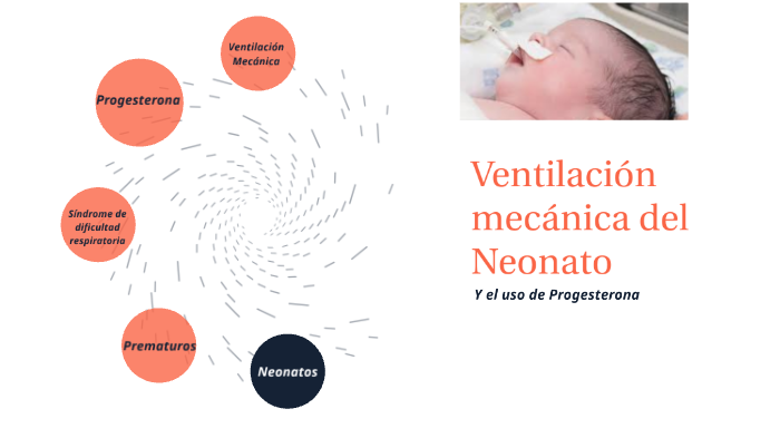 Fases De La Ventilacion Mecanica En Neonatos mavink.com