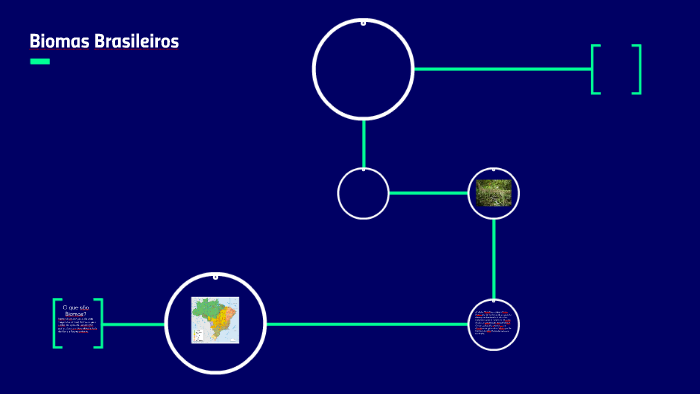 Biomas Brasileiros by cezar silva on Prezi