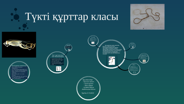 Джеки порно комикс