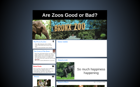 are zoos good or bad essay