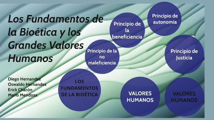 Los Fundamentos de la Bioética y los Grandes Valores Humanos by
