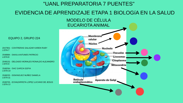 Evidencia de aprendizaje Biología Etapa 1 by Luciano Echazarreta