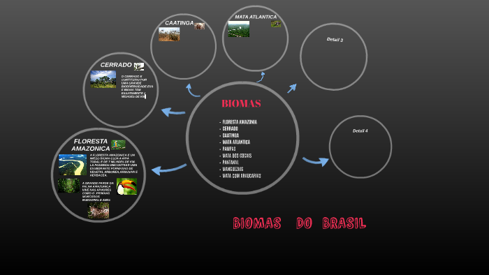 BIOMAS DO BRASIL by SARAH LIMA on Prezi
