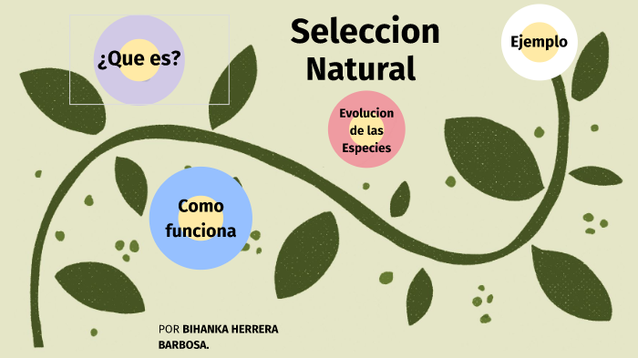 definición de selección natural