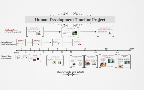 Human Development Timeline by Shea Reynolds on Prezi