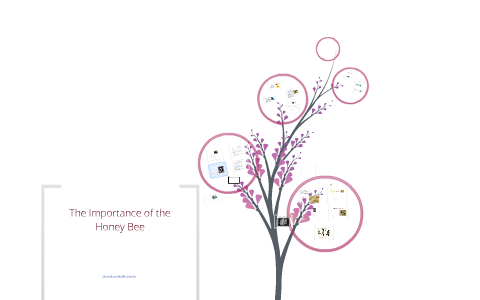 Importance of the Honey Bee by Isaac Davenport on Prezi