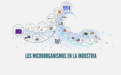 LOS MICROORGANISMOS EN LA INDUSTRIA by Daniela Florez on Prezi