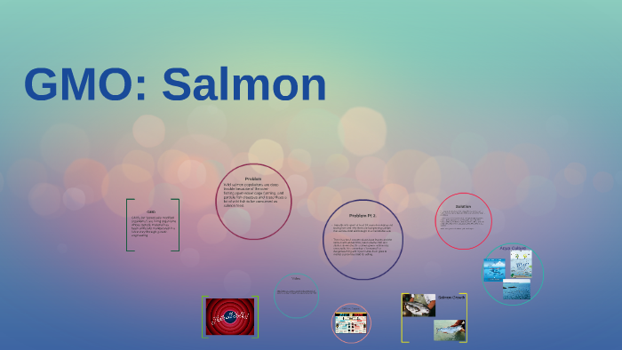 GMO: Salmon by Jerrod Campbell on Prezi