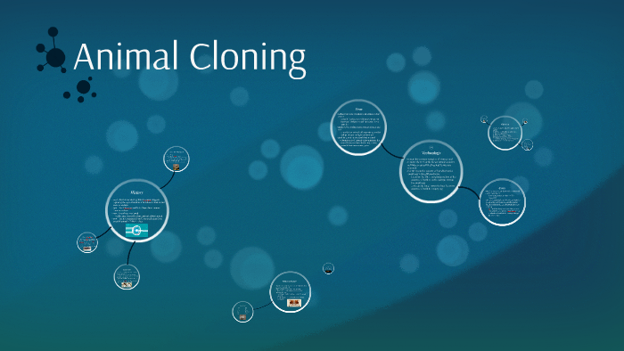 Animal Cloning by Veronica Carroll on Prezi