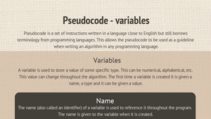 Pseudocode - variables infographic by Wingu Academy on Prezi Design